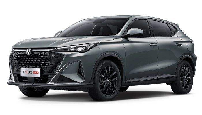 CS35 MAX COLORES GRAY